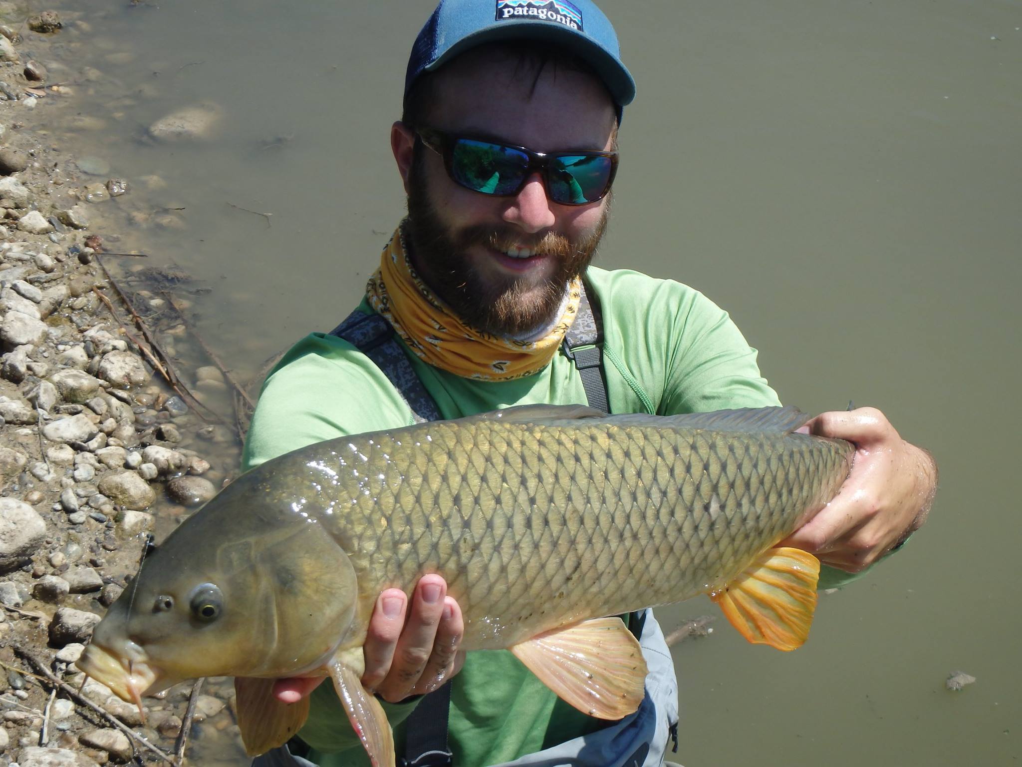 Carp Are Not Bonefish - Fly Fishing, Gink and Gasoline, How to Fly Fish, Trout  Fishing, Fly Tying