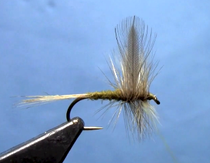 Blue Winged Olive Dry Fly Tying Video