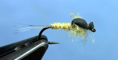 CDC Emerging Mayfly Nymph Fly Tying Video