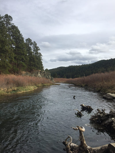 Black Hills Fishing Report - 11/6/2019
