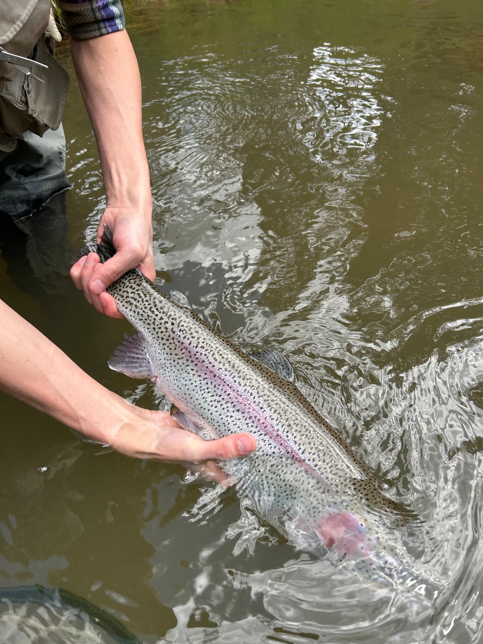 Black Hills Fly Fishing Report – May 30th, 2025