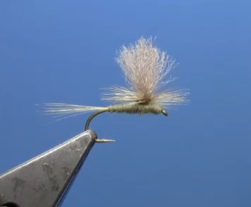 Tying a Parachute Blue Wing Olive – Dakota Angler & Outfitter