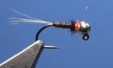 Fly Tying with Hans- Party Crasher Jig Nymph