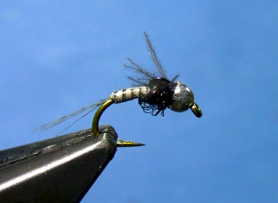 Quill Body Nymph- Fly Tying Video