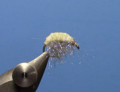 Fly Tying with Dave - Bug Gut Scud