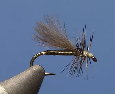 Fly Tying with Hans - Quill Body CDC Adult Midge