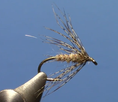 Fly Tying with Hans - Partridge & Hare Soft Hackle