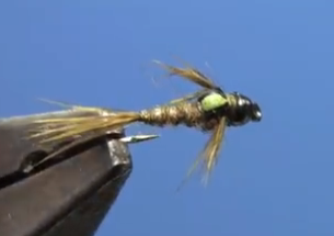 Fly Tying with Hans- Split Back Baetis Nymph
