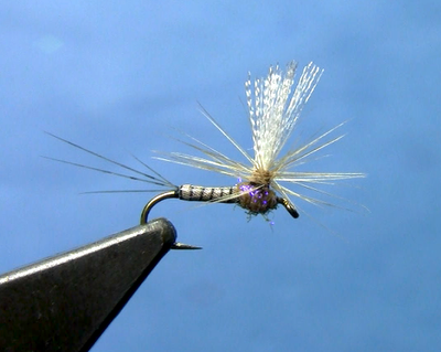 Upright Callibaetis Spinner- Fly Tying Video