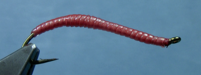 Chewee Worm
