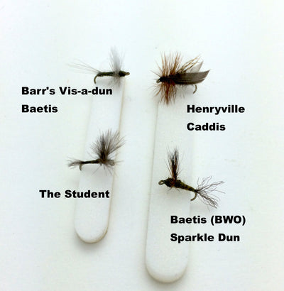 Flies for Spring Fishing in the Black Hills