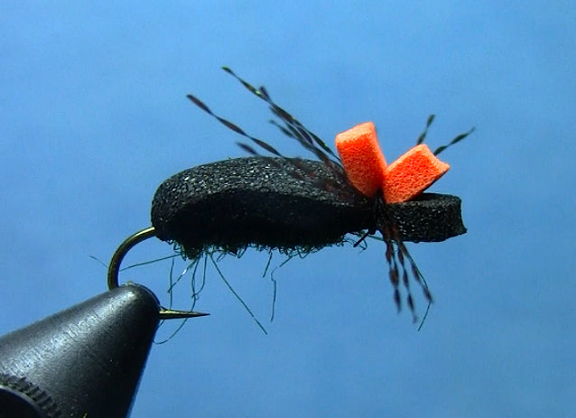 Foam Beetle - Dakota Angler & Outfitter - Black Hills Fly Fishing
