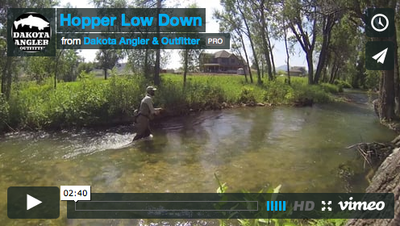 Black Hills Fishing Video - Hopper Low Down