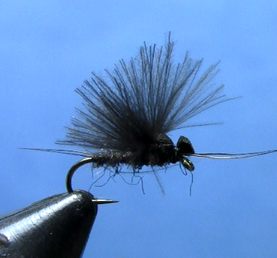 Tying the Fluttering Black Stonefly