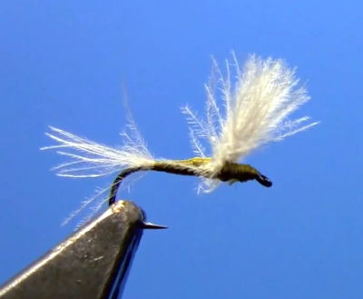Student CDC Dry Fly - Fly Tying Video