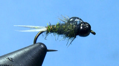 Barr's Tung Teaser Nymph
