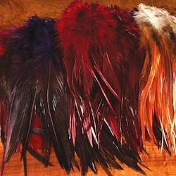  Woolly Bugger Saddle Hackle 6-7, Blood Red : Fly