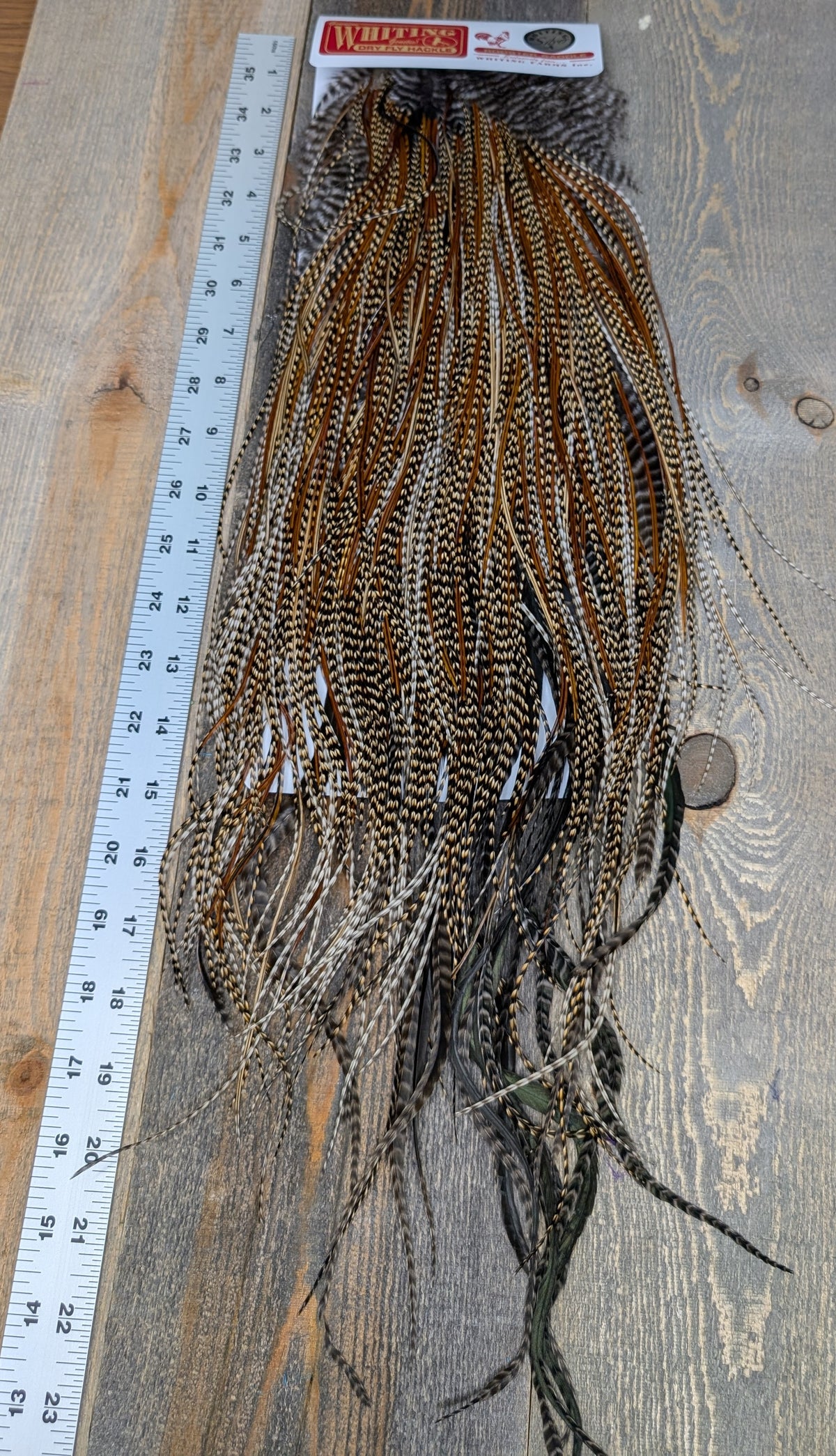 Whiting Silver Grade Saddle Cree #21