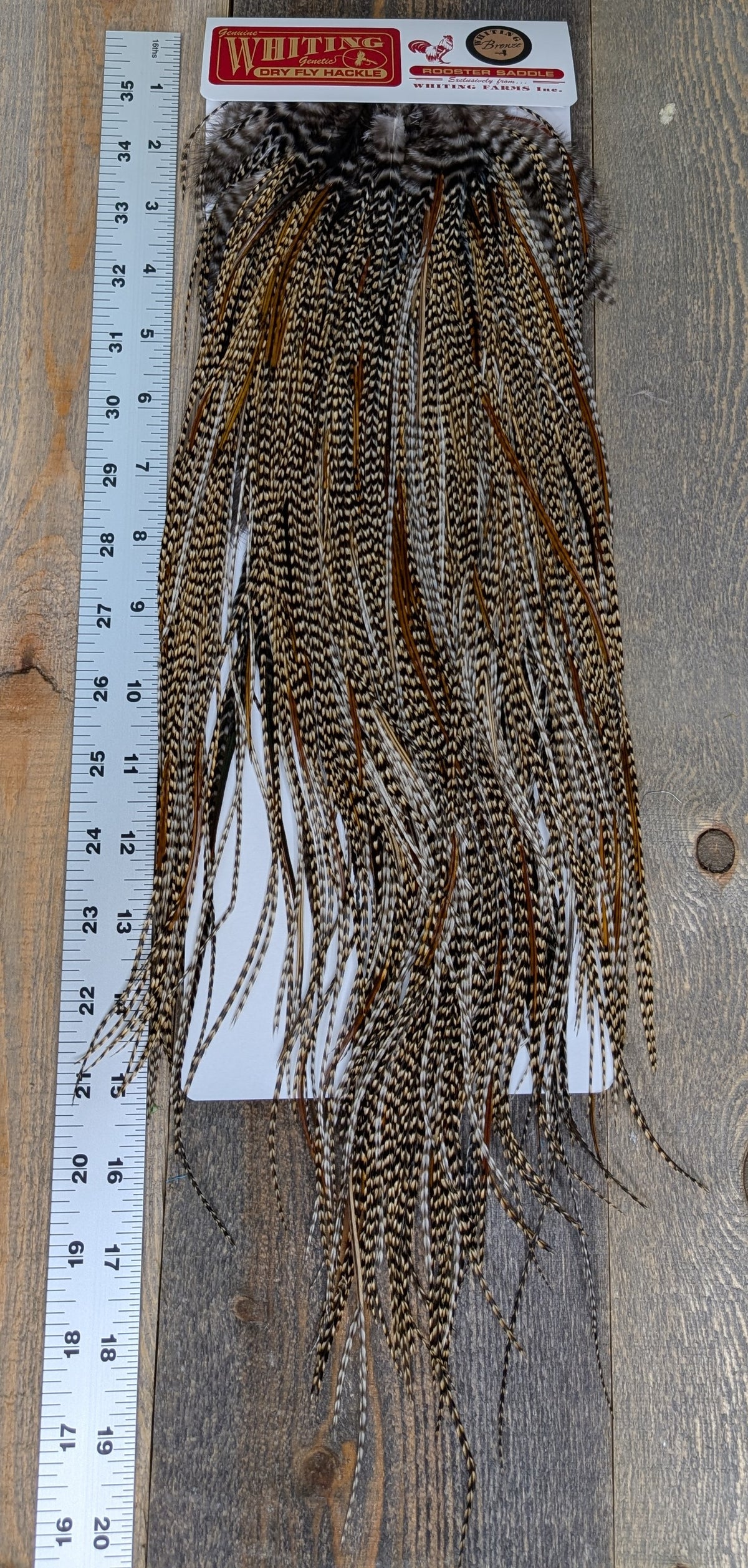 Whiting Bronze Grade Saddle Cree #19
