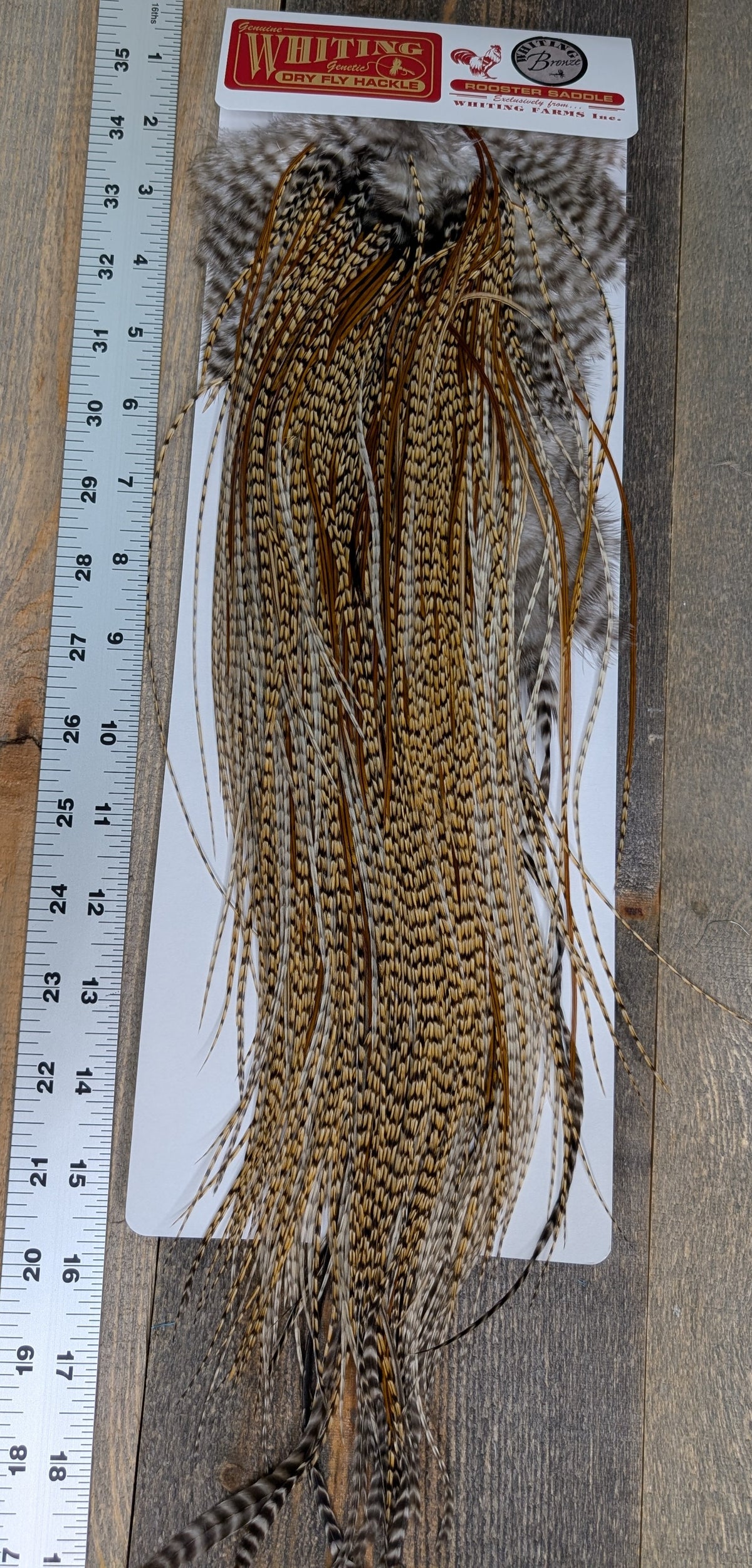Whiting Bronze Grade Saddle Cree #15