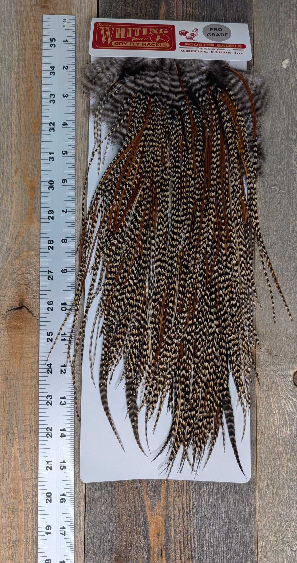 Whiting Pro Grade Saddle Cree #9