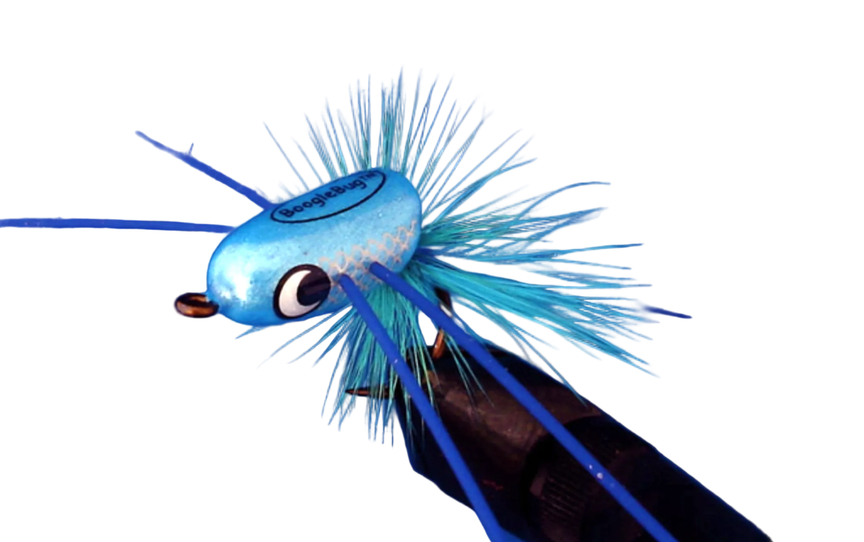 Boogle Bug BoogleBullet Slider Electric Damsel / #6 Poppers & Divers
