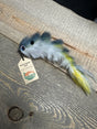 Chocklett's Hybrid Game Changer (double hook)6.5"-  4/0 Shad Warmwater Flies