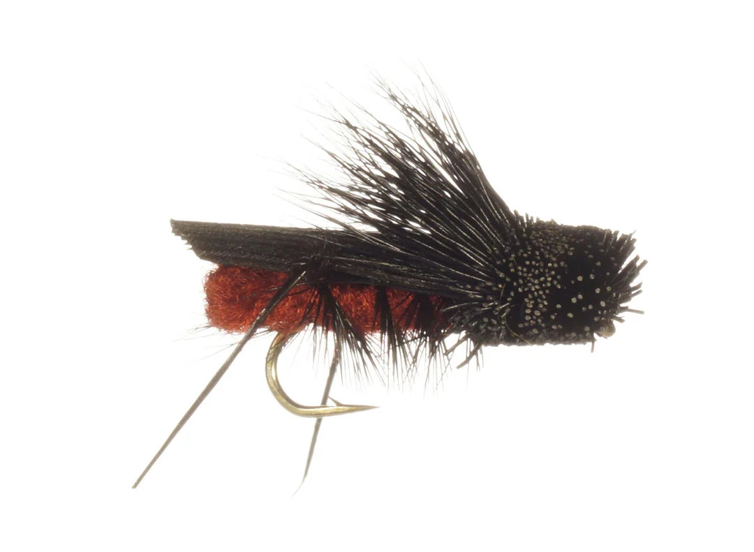 Dave's Cricket - Black 8 Terrestrials