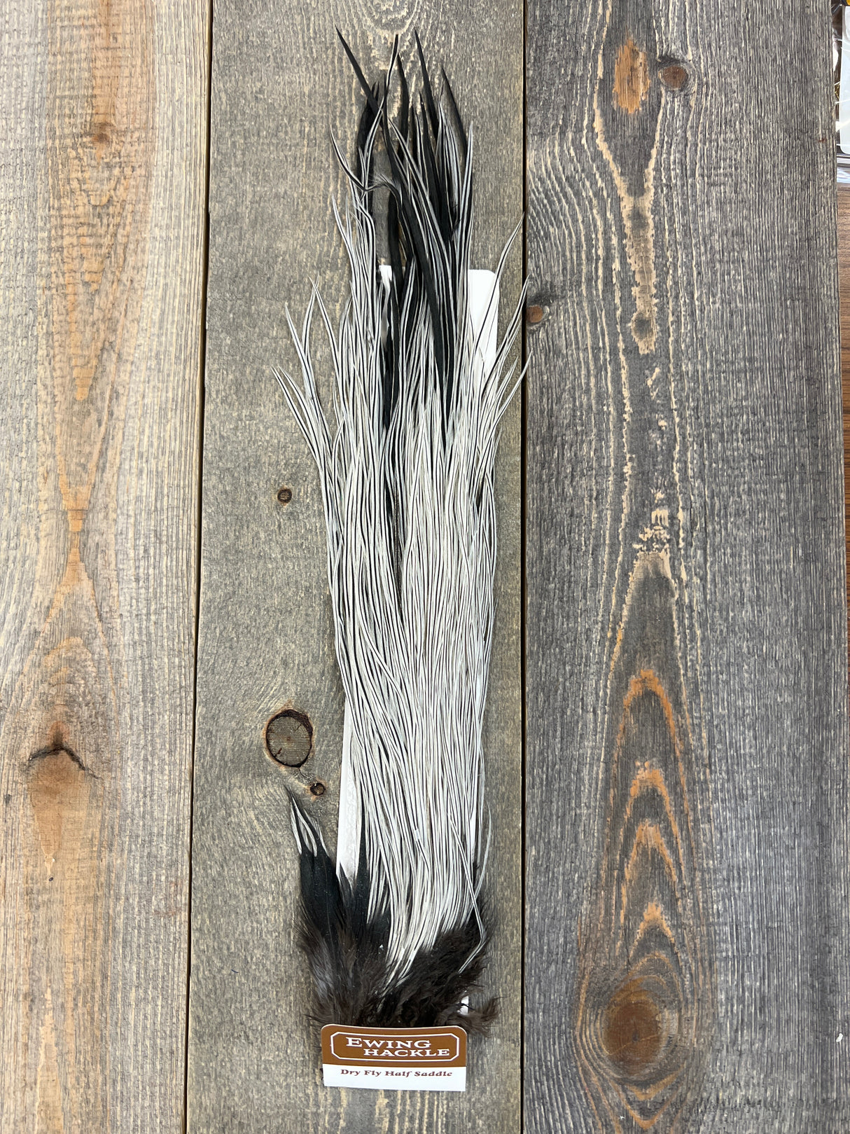 Ewing Dry Fly #2 Half Saddle Silver Badger Dry Fly Hackle