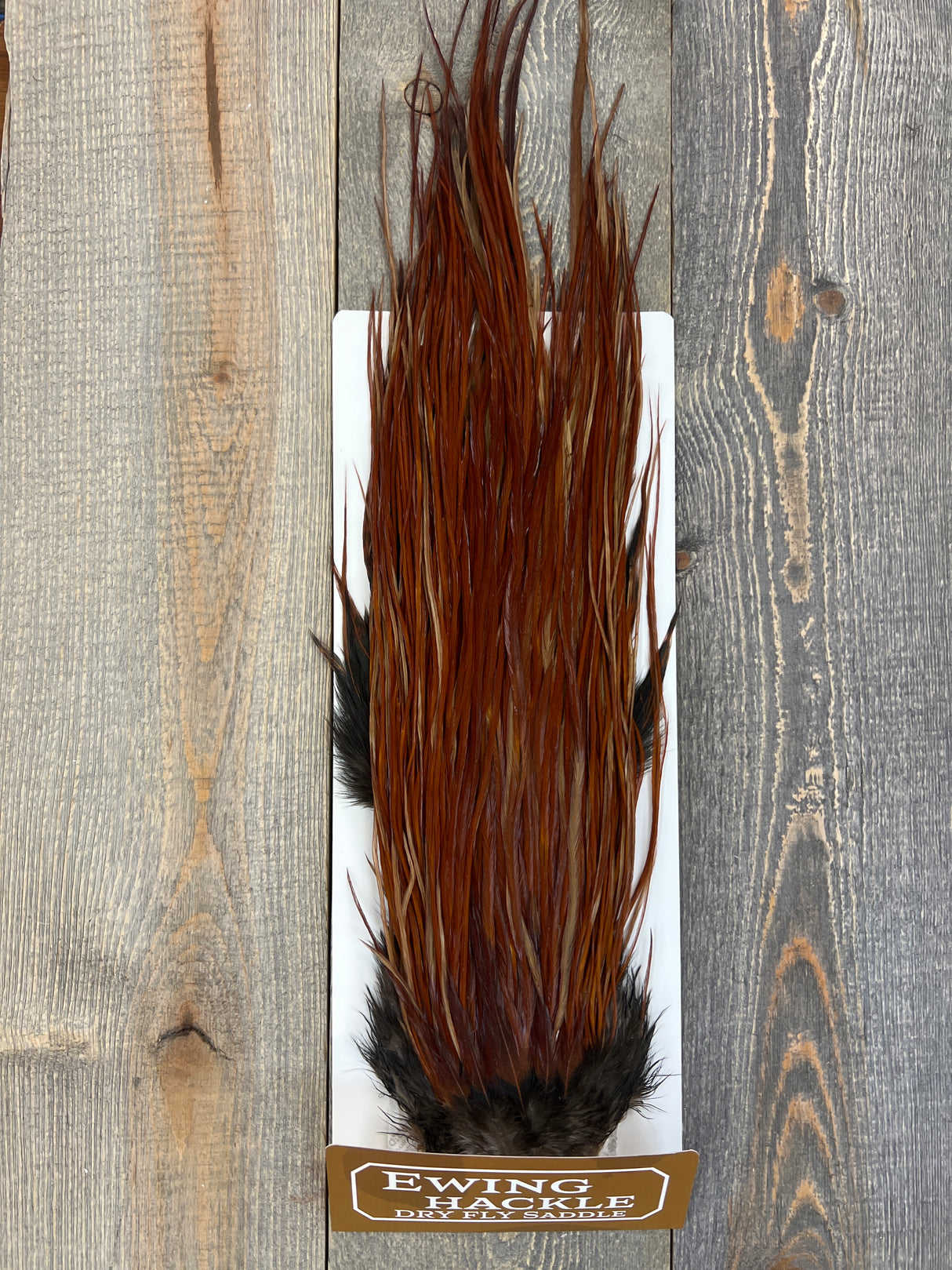 Ewing Dry Fly Saddle Brown Dry Fly Hackle