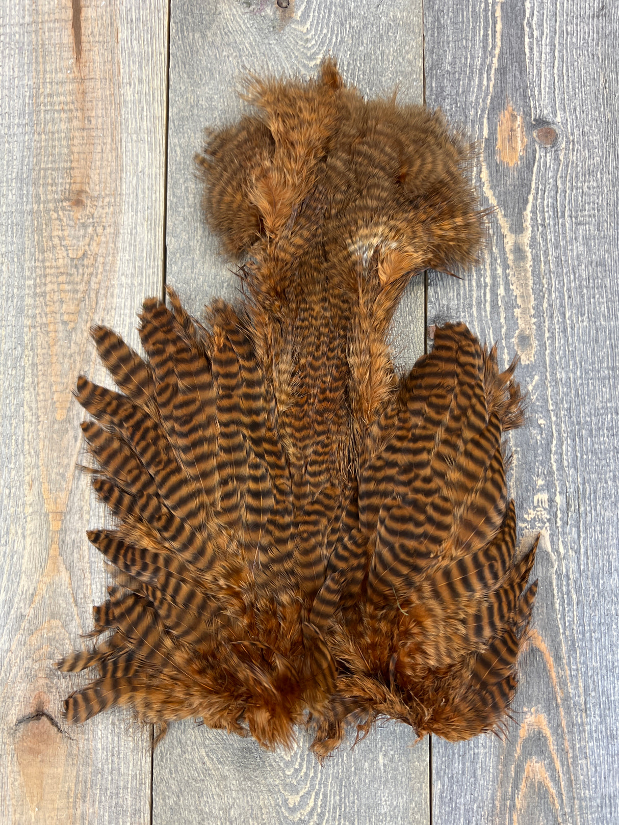 Ewing Grizzly Chickabou Patch Brown Marabou