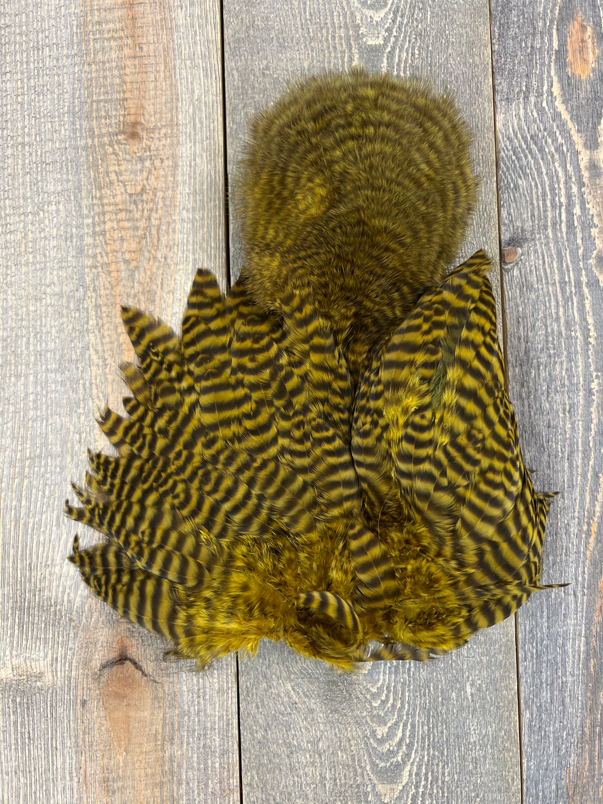 Ewing Grizzly Chickabou Patch Golden Olive Marabou
