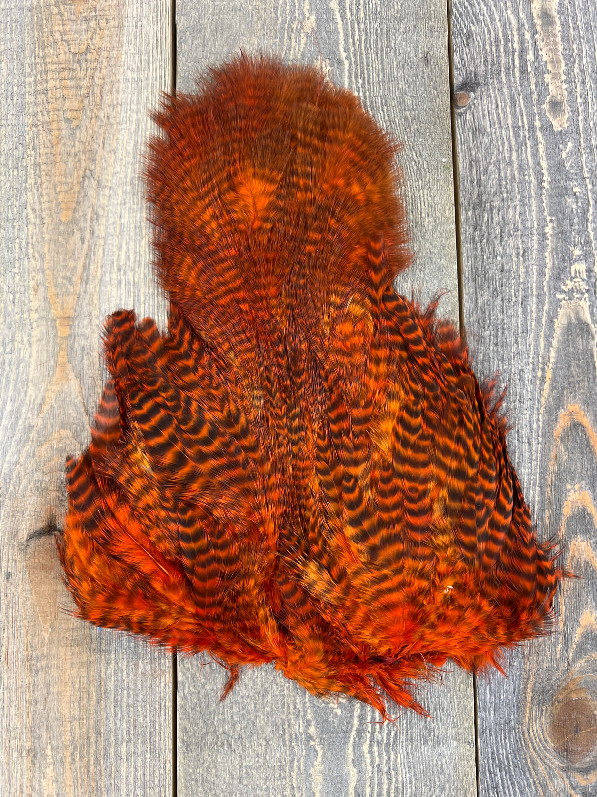 Ewing Grizzly Chickabou Patch Orange Marabou