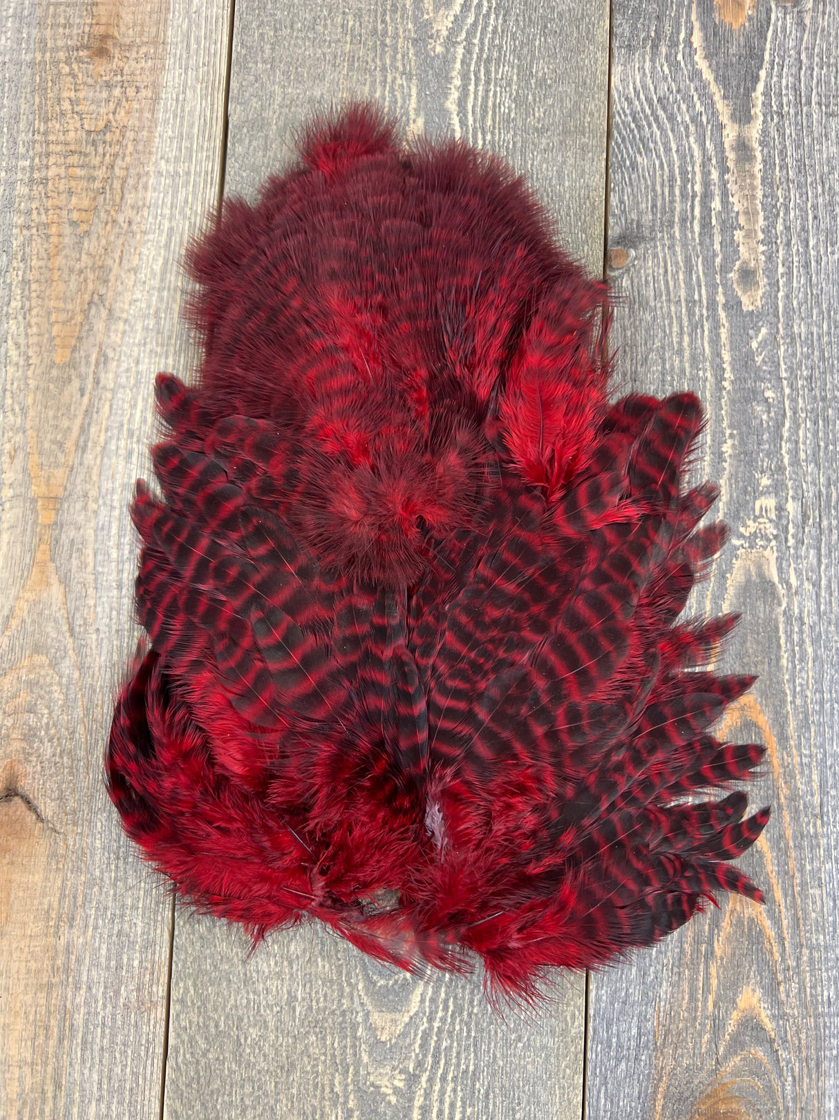 Ewing Grizzly Chickabou Patch Red Marabou