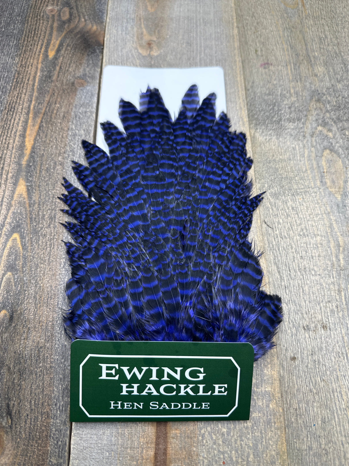 Ewing Grizzly Hen Saddle Bright Purple Hen Hackle