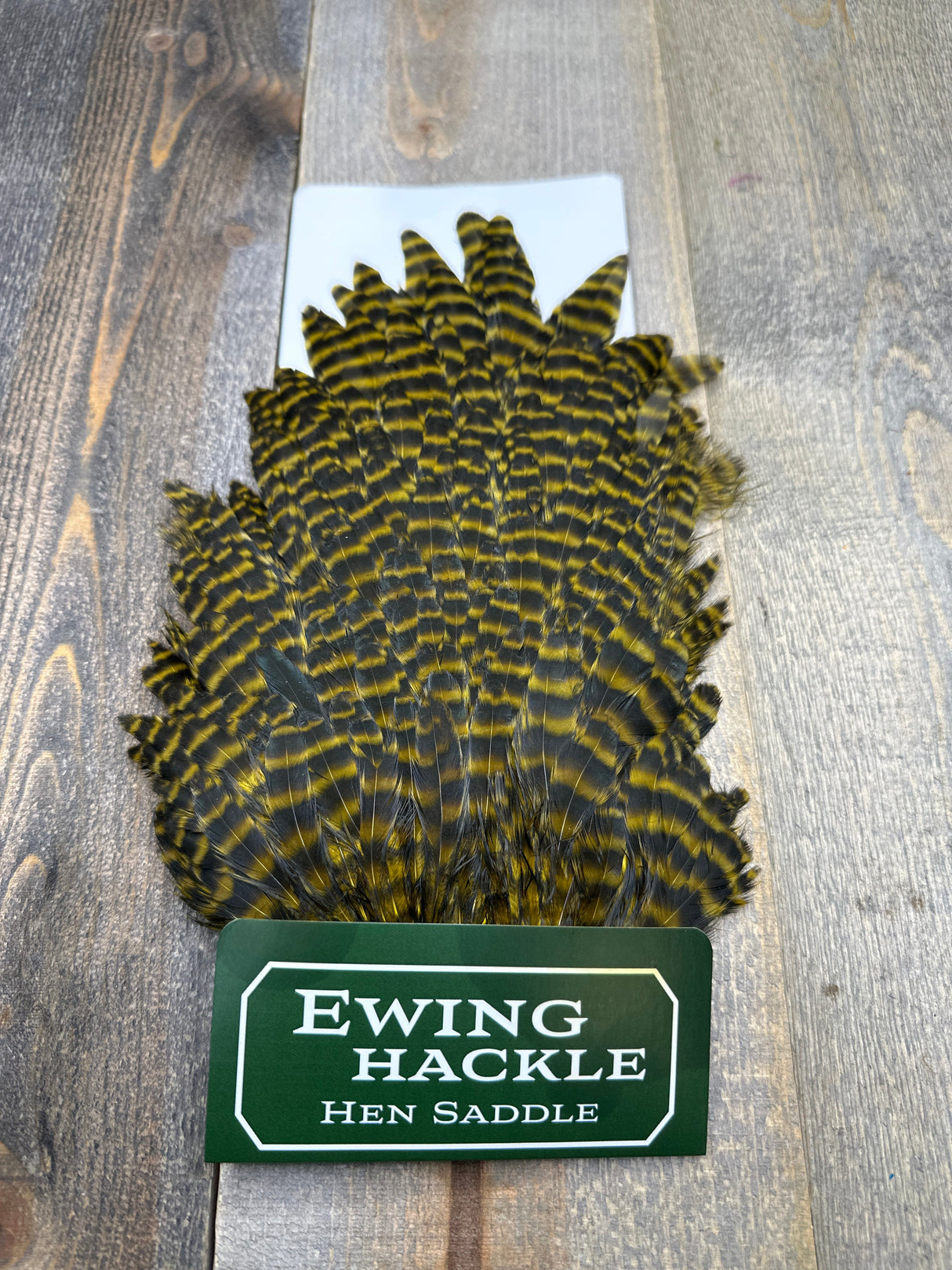 Ewing Grizzly Hen Saddle Golden Olive Hen Hackle