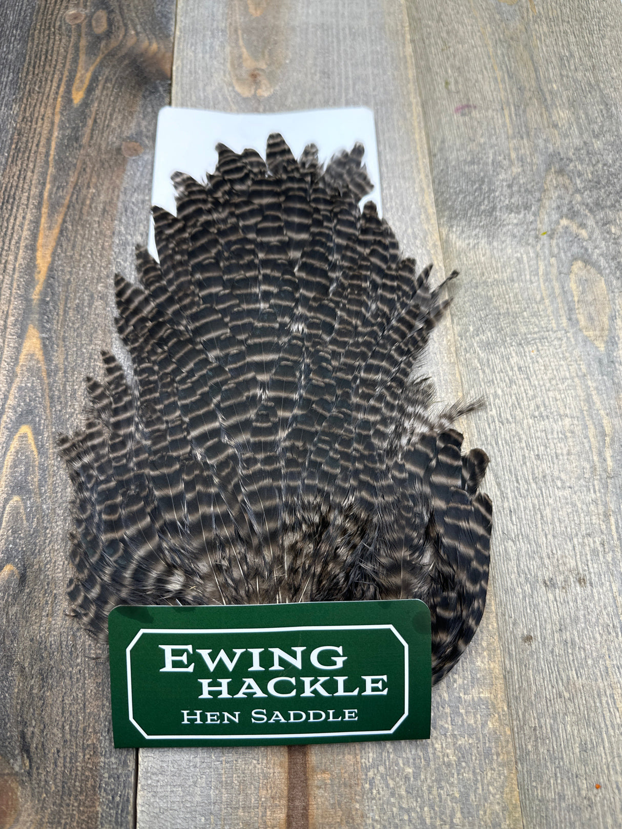Ewing Grizzly Hen Saddle Tan Dun Hen Hackle