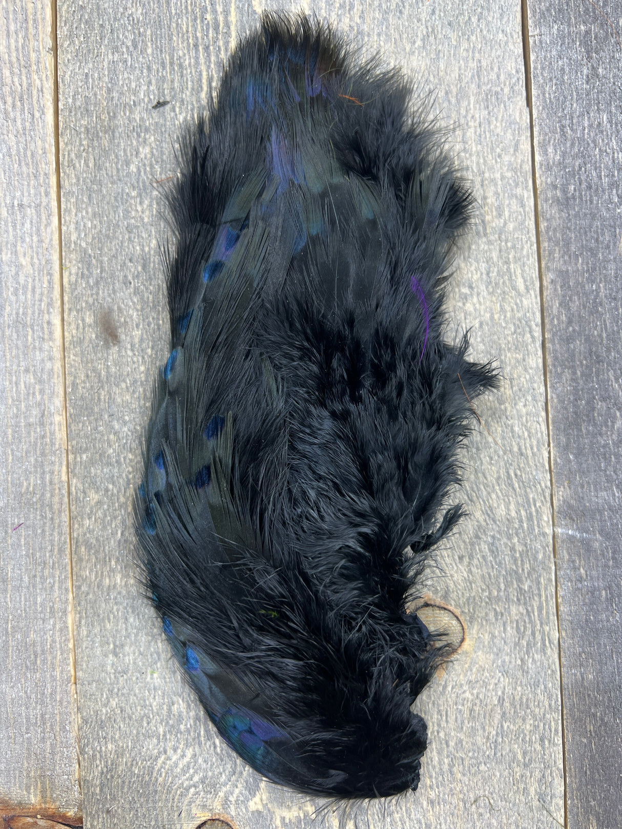 Fish Hunter Pheasabou Flanks Black