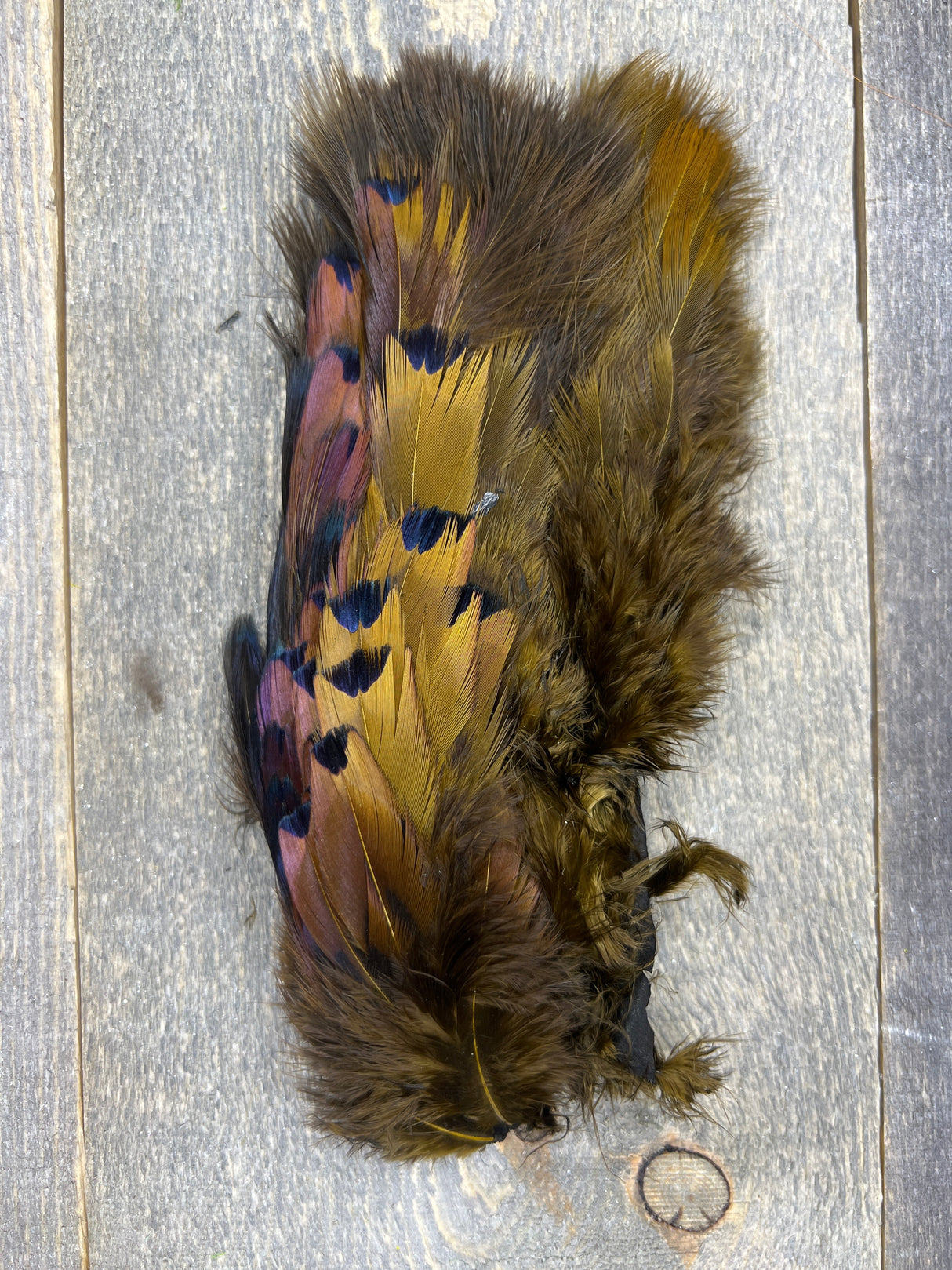 Fish Hunter Pheasabou Flanks Galloup's Brown Olive