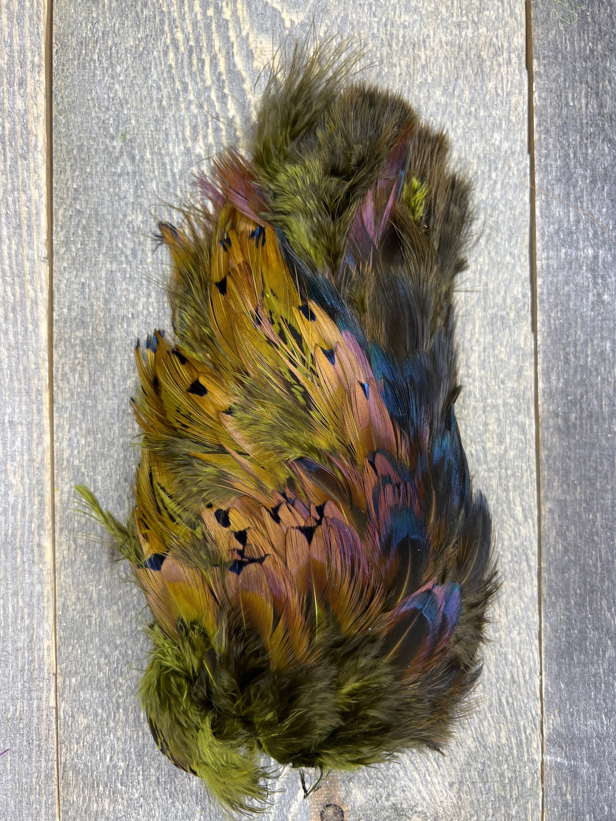 Fish Hunter Pheasabou Flanks Medium Ollive