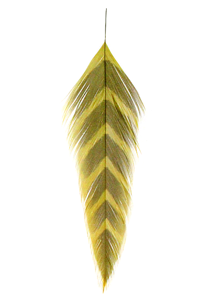Galloup's Fish Feathers - Arrowhead Olive/Brown Saddle Hackle, Hen Hackle, Asst. Feathers