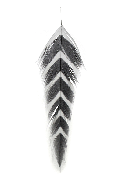 Galloup's Fish Feathers - Arrowhead White/Black Saddle Hackle, Hen Hackle, Asst. Feathers