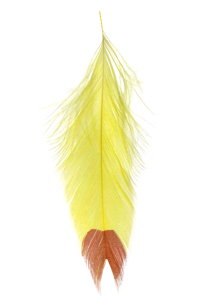 Galloup's Fish Feathers - Fin Tip Saddle Hackle, Hen Hackle, Asst. Feathers