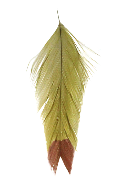 Galloup's Fish Feathers - Fin Tip Olive/Red Saddle Hackle, Hen Hackle, Asst. Feathers