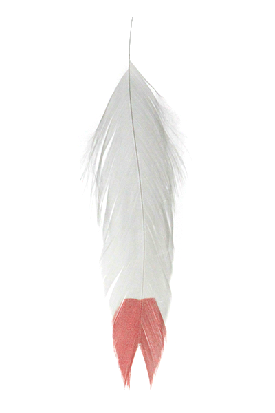 Galloup's Fish Feathers - Fin Tip White/Red Saddle Hackle, Hen Hackle, Asst. Feathers