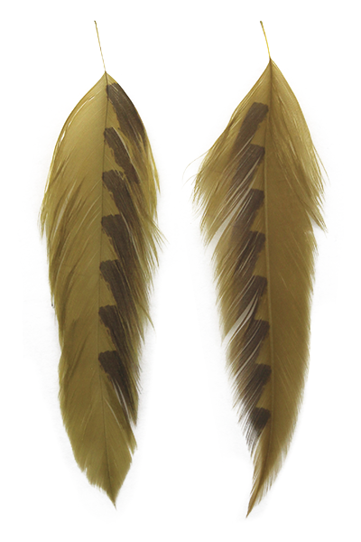 Galloup's Fish Feathers - Shark Fin Olive/Brown Saddle Hackle, Hen Hackle, Asst. Feathers