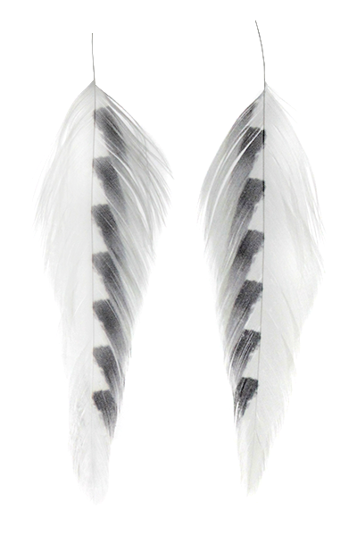 Galloup's Fish Feathers - Shark Fin White/Black Saddle Hackle, Hen Hackle, Asst. Feathers