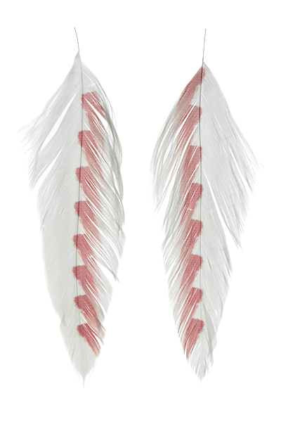 Galloup's Fish Feathers - Shark Fin White/Red Saddle Hackle, Hen Hackle, Asst. Feathers