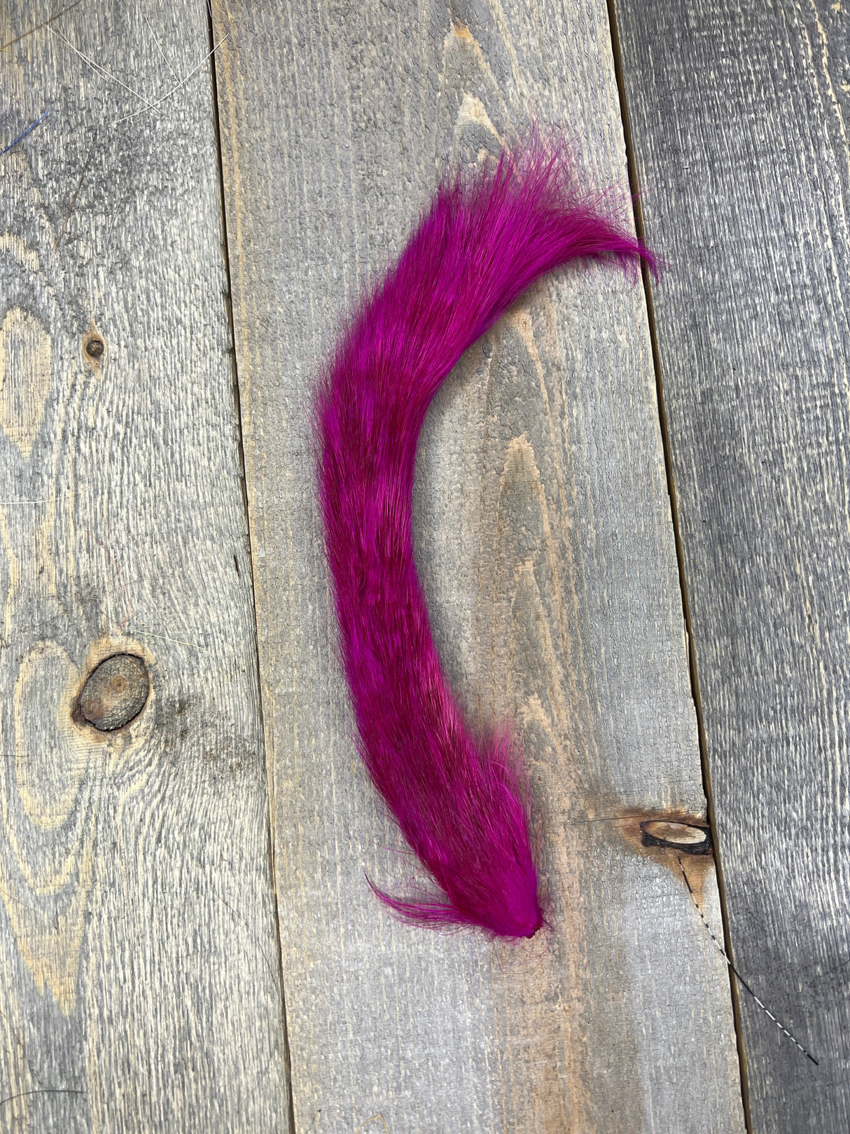 Grey Squirrel Tail Bleached Dyed Fuschia Hair, Fur
