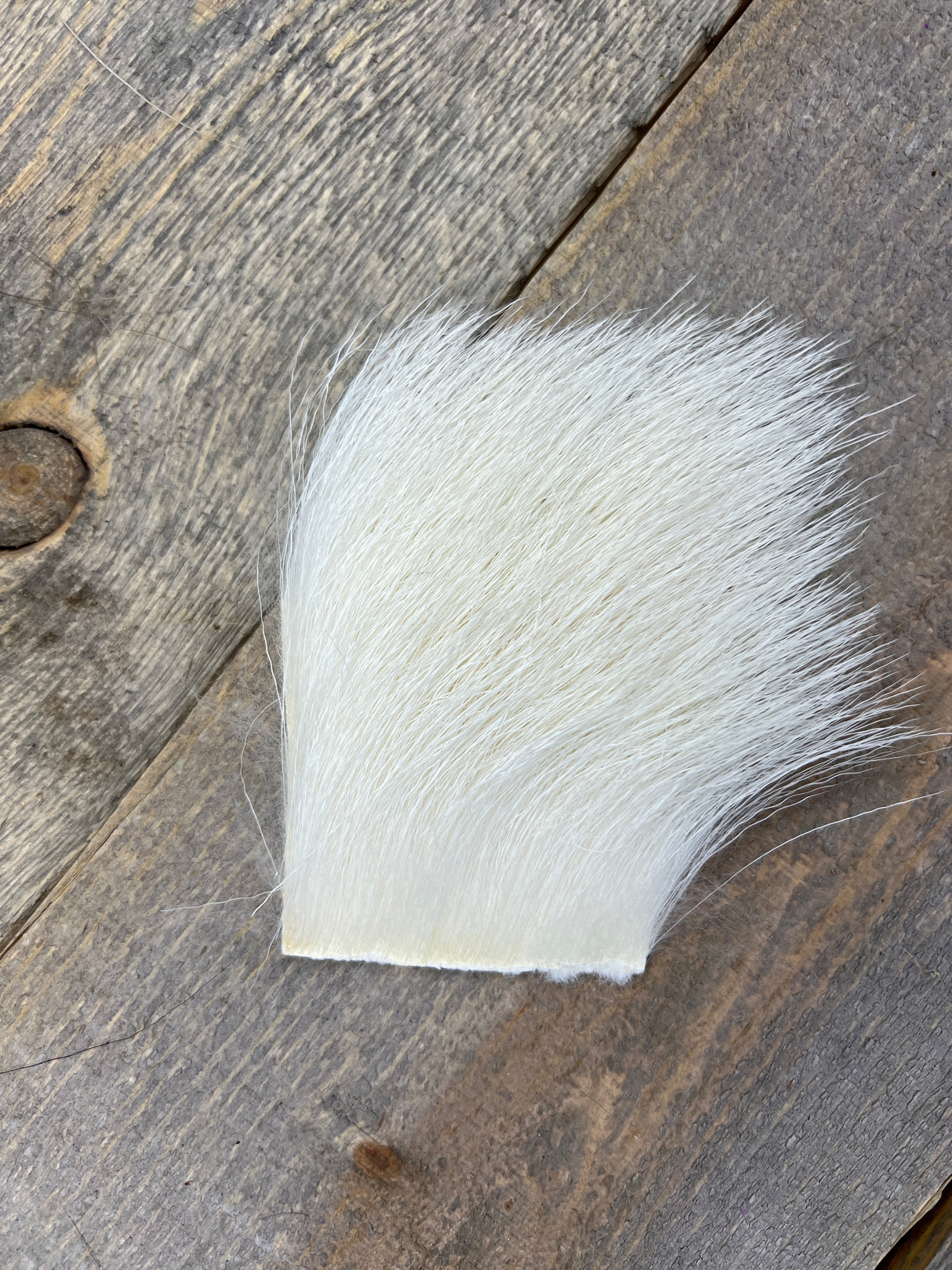 Kid Goat White Hair, Fur